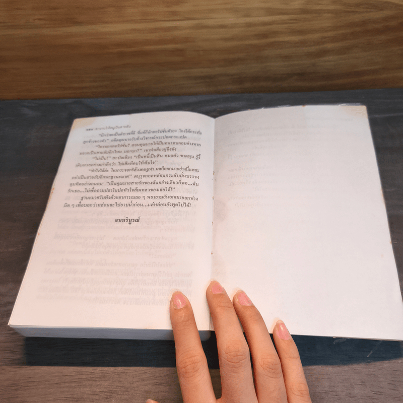 เขาวานให้หนูเป็นสายลับ 2 เล่มจบ - พัดชา