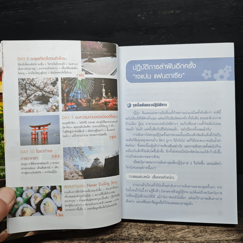 เที่ยวไม่ง้อทัวร์ ตีตั๋วตะลุยญี่ปุ่น 2