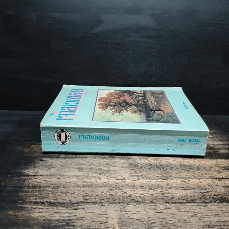 เจ้าสาวเชลย - วลัย นวาระ