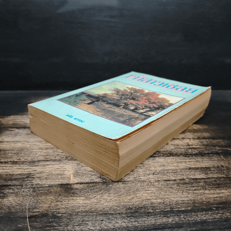 เจ้าสาวเชลย - วลัย นวาระ