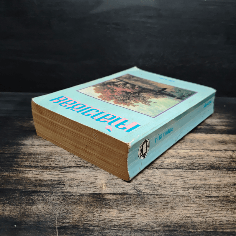 เจ้าสาวเชลย - วลัย นวาระ