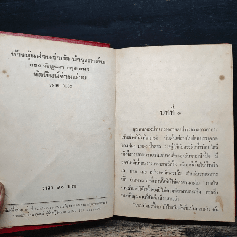 พ่อครัวหัวป่าก์ - กนกเรขา