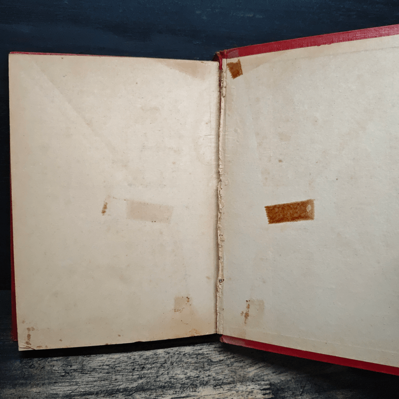 พ่อครัวหัวป่าก์ - กนกเรขา