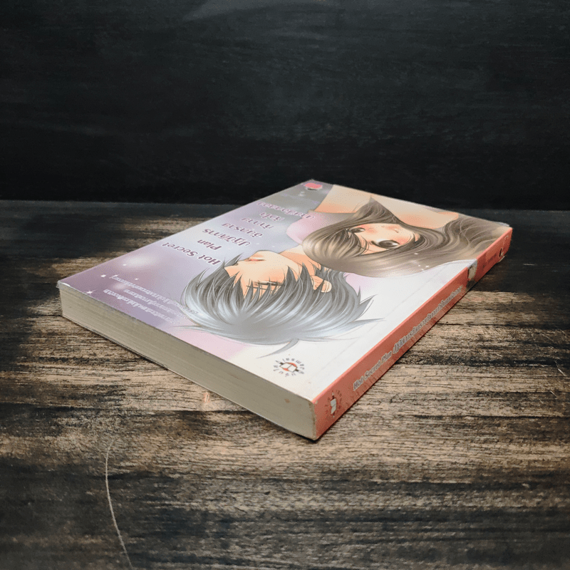 Hot Secret Plan ปฏิบัติการอันตรายท้าทายหัวใจนายมือกลอง - Hideko_Sunshine