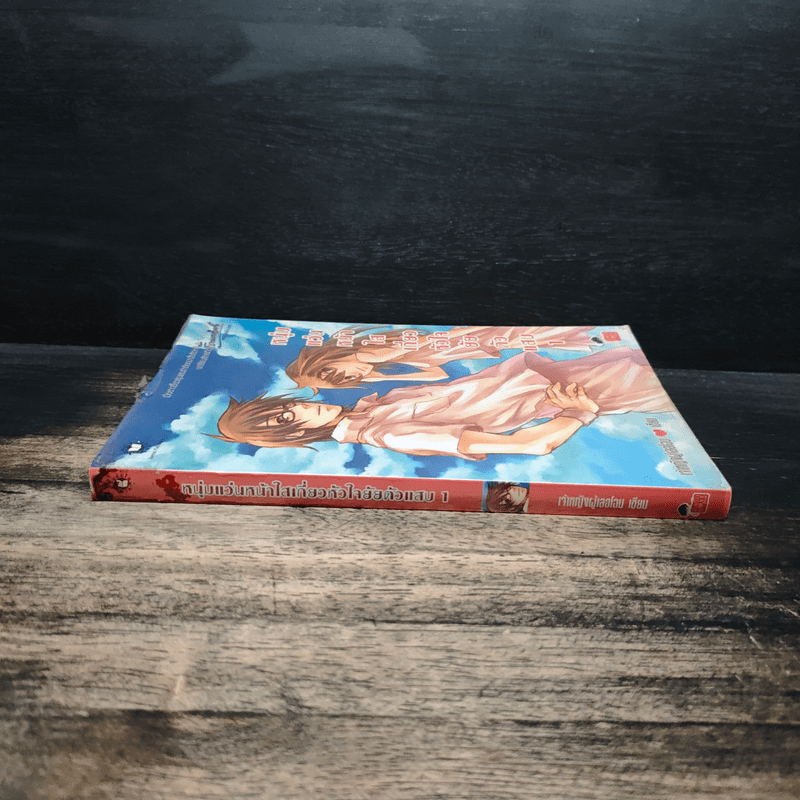 หนุ่มแว่นหน้าใสเกี่ยวหัวใจยัยตัวแสบ เล่ม 1 - เจ้าหญิงผู้เลอโฉม