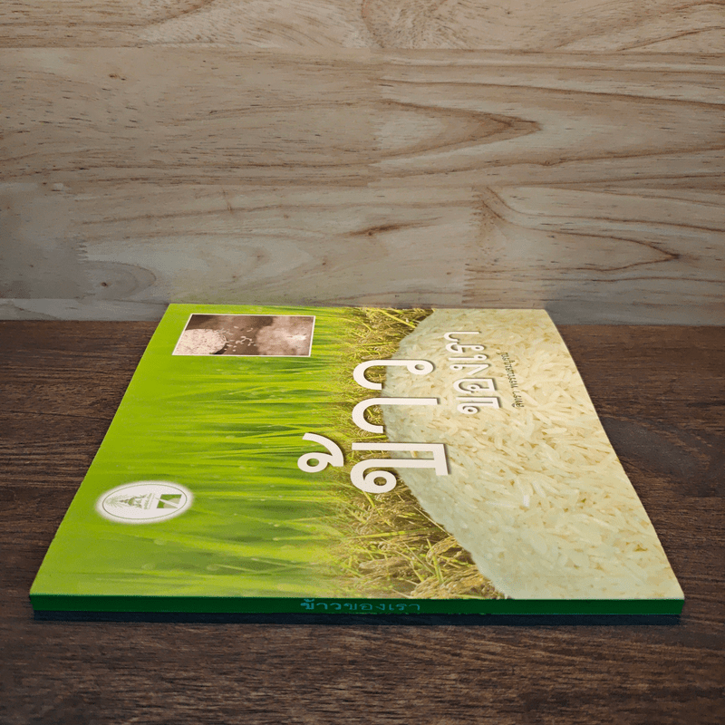 ข้าวของเรา - สิทรา พรรณสมบูรณ์