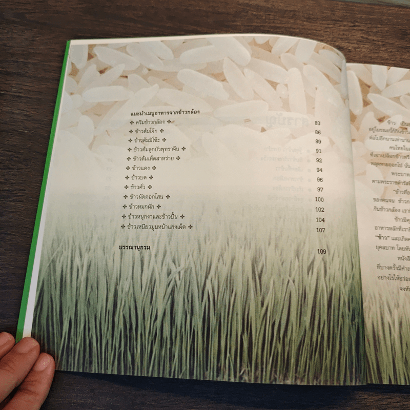 ข้าวของเรา - สิทรา พรรณสมบูรณ์