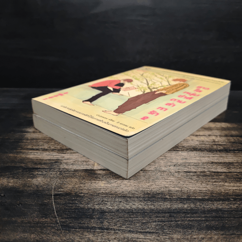 สาวใสหนุ่มซ่าส์ตามล่าหารัก 2 เล่มจบ - Guiyeoni