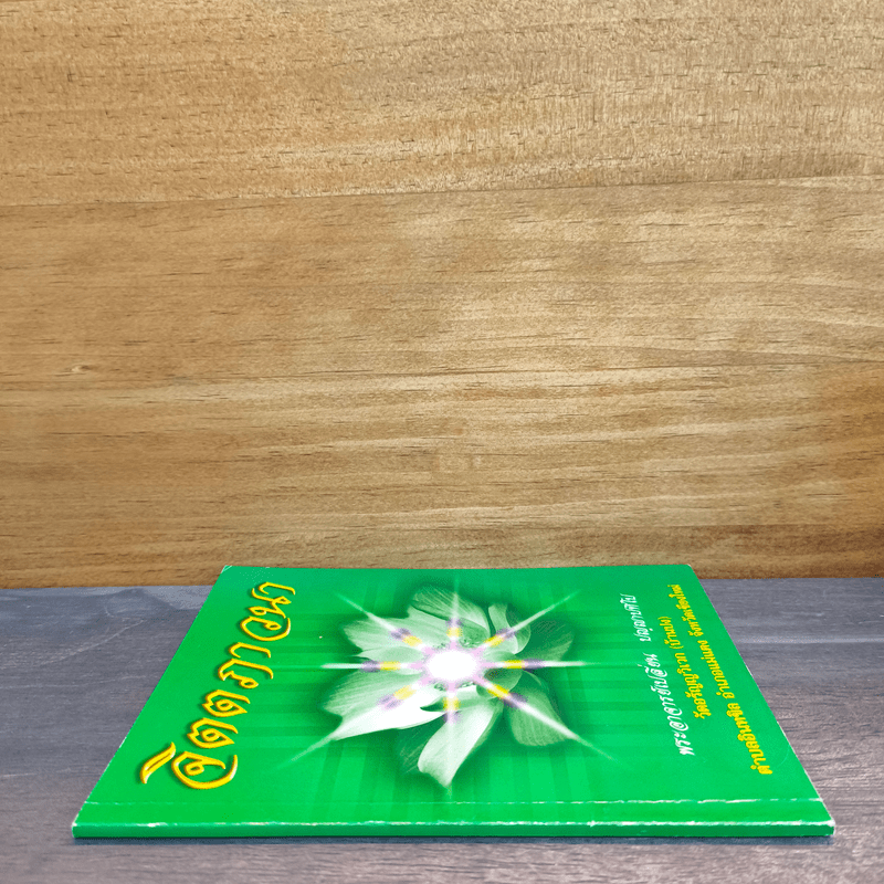 จิตตภาวนา - พระอาจารย์เปลี่ยน ปัญญาปทีโป