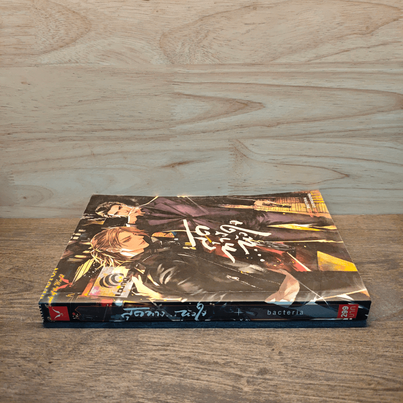 สุดทางหัวใจ - Bacteria