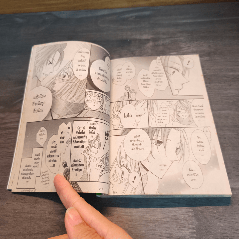 แผนรักร้ายนายหมาป่า เล่ม 5