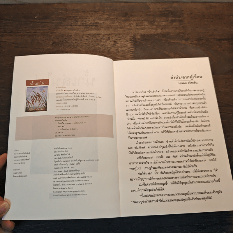 น้ำเล่นไฟ - กฤษณา อโศกสิน