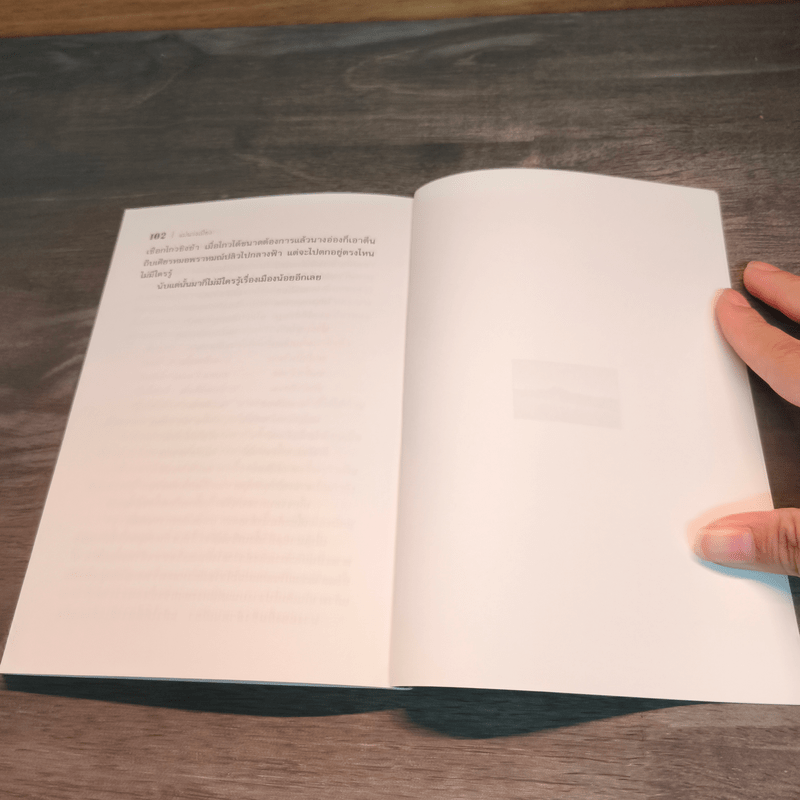 แม่นางเมือง - สุจิตต์ วงษ์เทศ