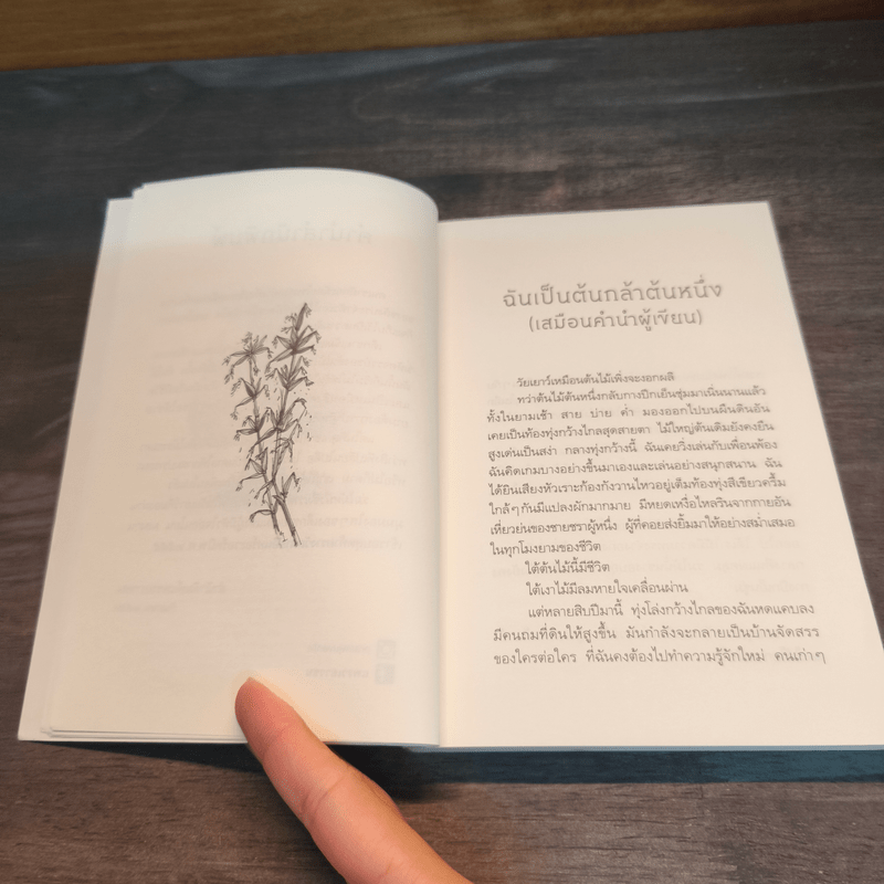 ร่มไม้หนึ่งซึ่งเราตัวเล็ก - ปันนารีย์