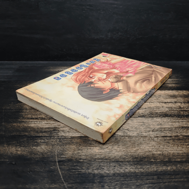 ขอรักเธออีกสักครั้งจะได้ไหม - โซเฟีย