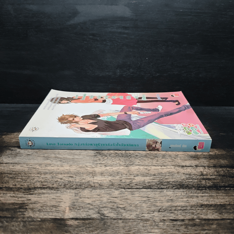 Love Tornado หนุ่มหล่อพายุร้ายถล่มหัวใจยัยสติแตก - แสตมป์เบอรี่