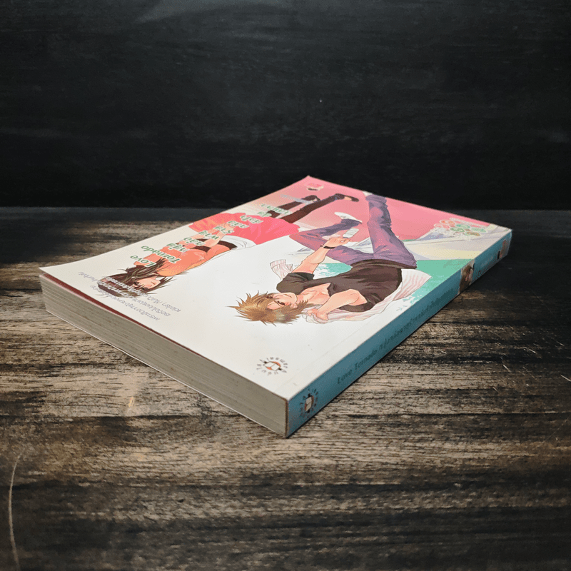 Love Tornado หนุ่มหล่อพายุร้ายถล่มหัวใจยัยสติแตก - แสตมป์เบอรี่