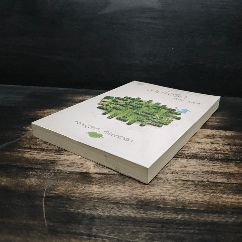 ตามใจรัก - ภิสรสา (yayoi)