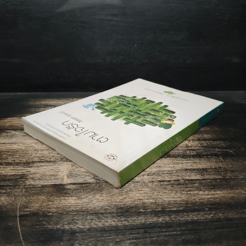 ตามใจรัก - ภิสรสา (yayoi)