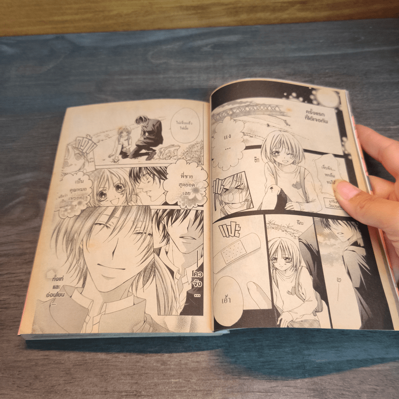 หลงรักคุณหมอสุดเลิฟ - Miki HATTORI