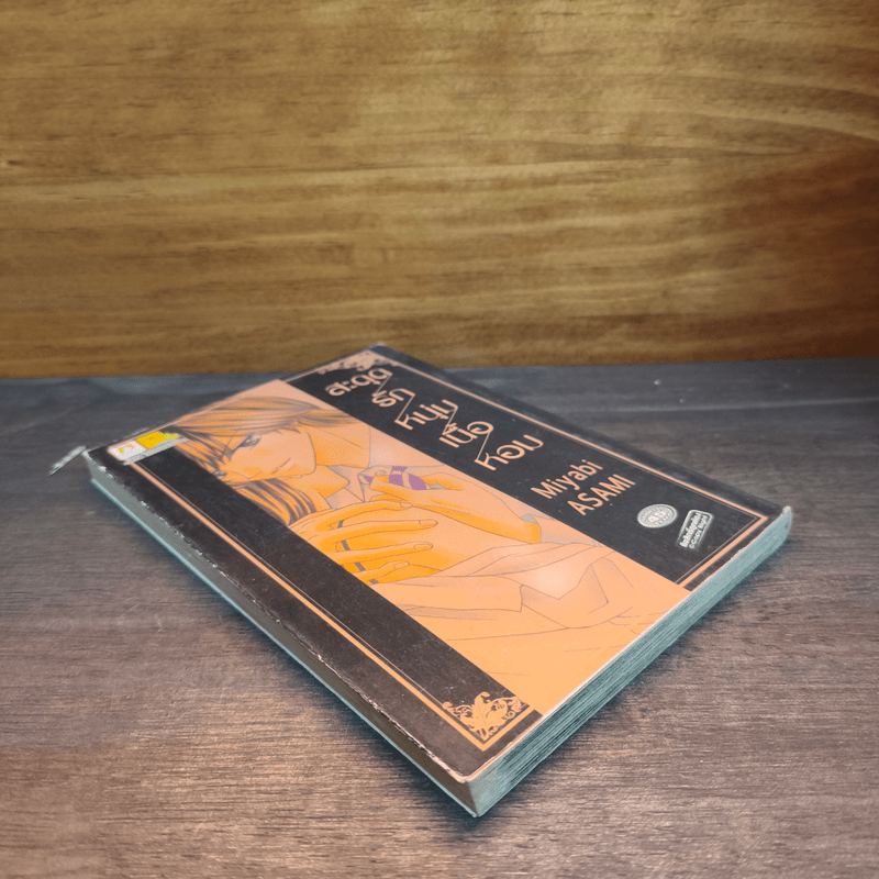 สะดุดรักหนุ่มเนื้อหอม - Miyabi ASAMI