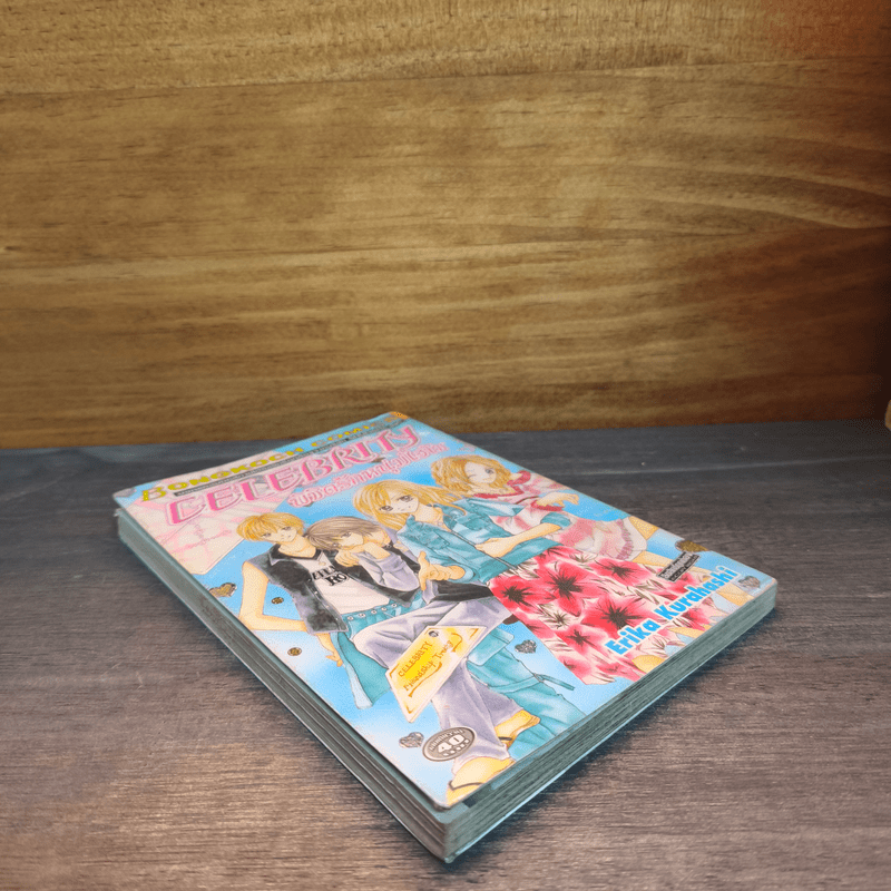 Celebrity พิชิตรักหนุ่มไฮโซ