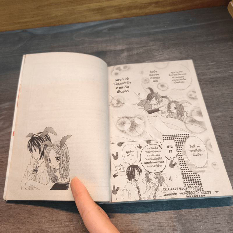 Celebrity พิชิตรักหนุ่มไฮโซ