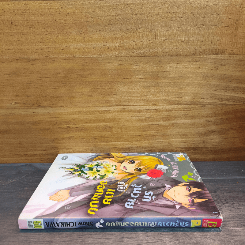 รักวุ่นวายกับนายออกแบบ