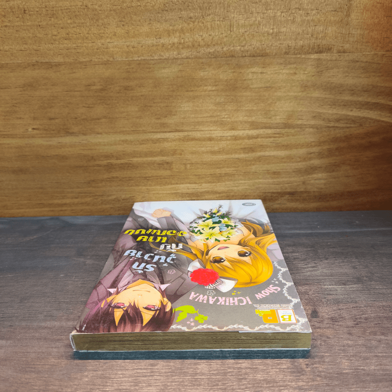 รักวุ่นวายกับนายออกแบบ