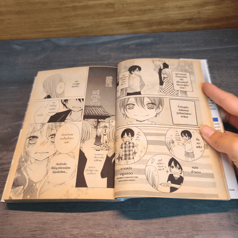 รักวุ่นวายกับนายออกแบบ