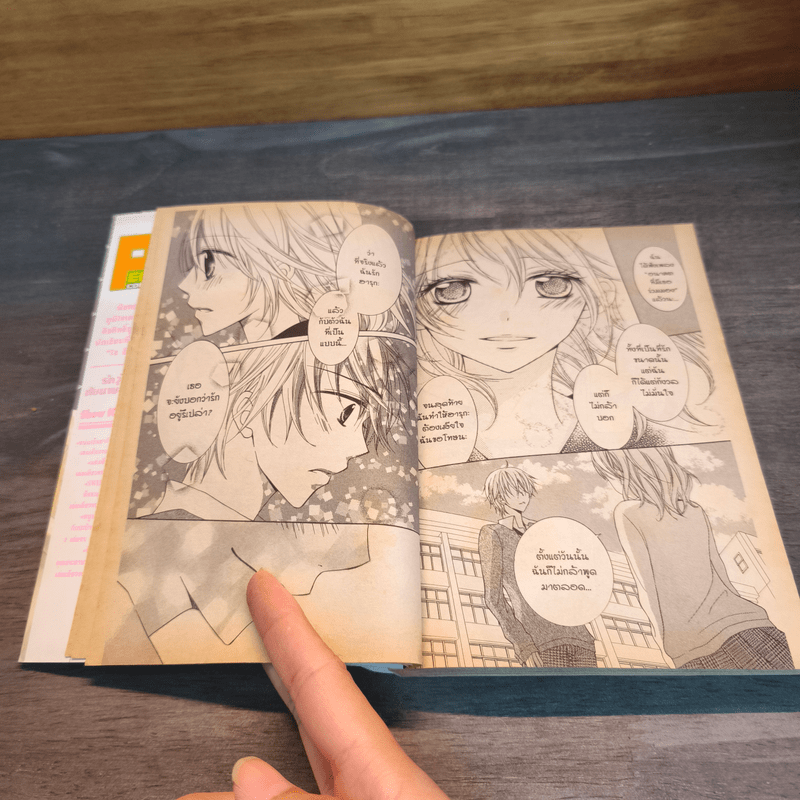 รักวุ่นวายกับนายออกแบบ