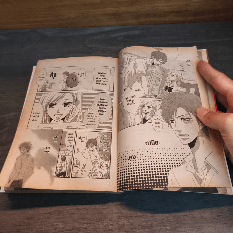 ตกหลุมรักหนุ่มหน้าใสหัวใจเวอร์จิ้น