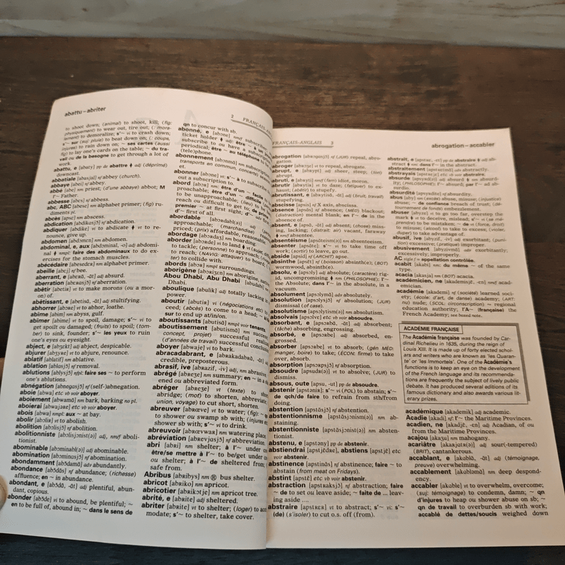 Collins French Dictionary Plus Grammar