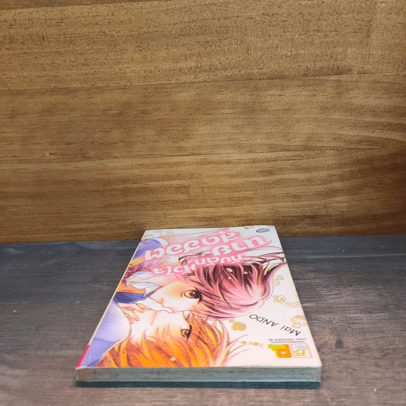 กับดักหัวใจนายสุดฮอต - Mai ANDO