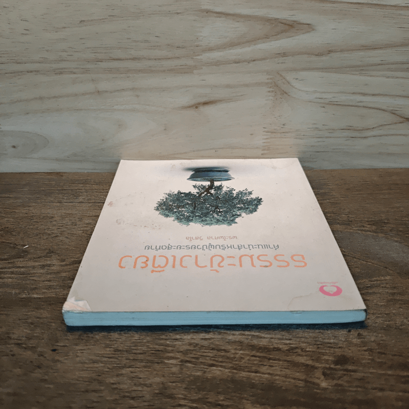 ธรรมะข้างเตียง คำแนะนำสำหรับผู้ป่วยระยะสุดท้าย - พระไพศาล วิสาโล