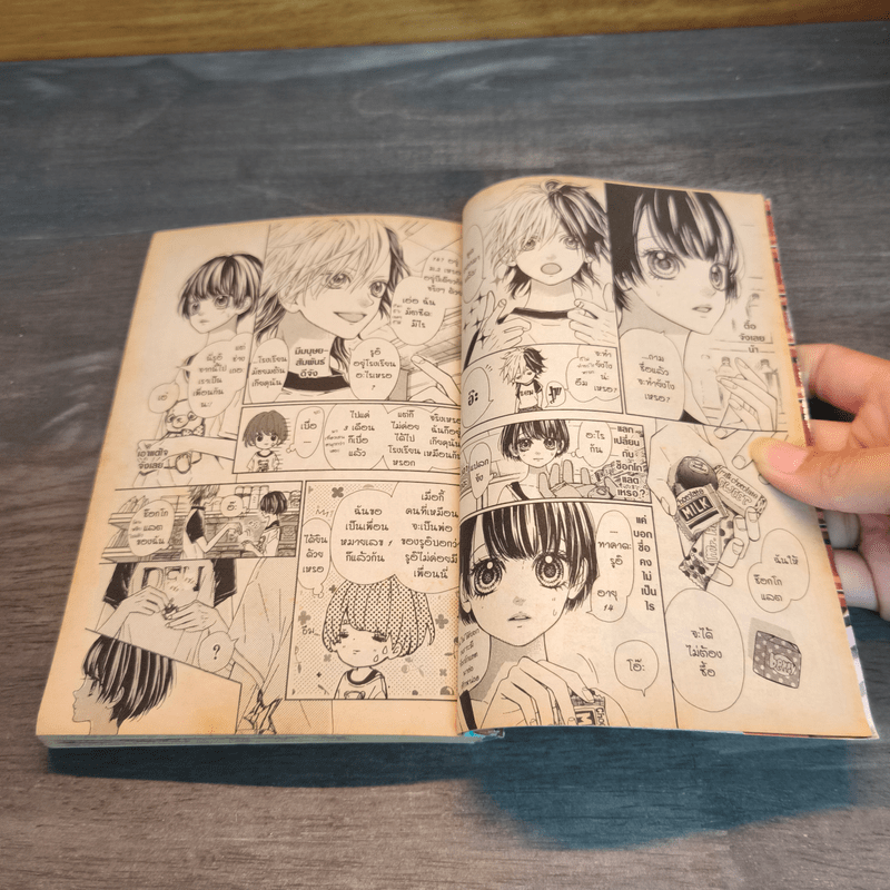 In The Chocolate อิน เดอะ ช็อกโกแลต - MAYU MURATA