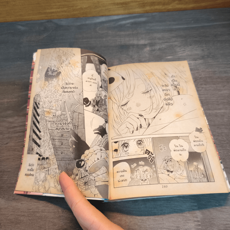 In The Chocolate อิน เดอะ ช็อกโกแลต - MAYU MURATA