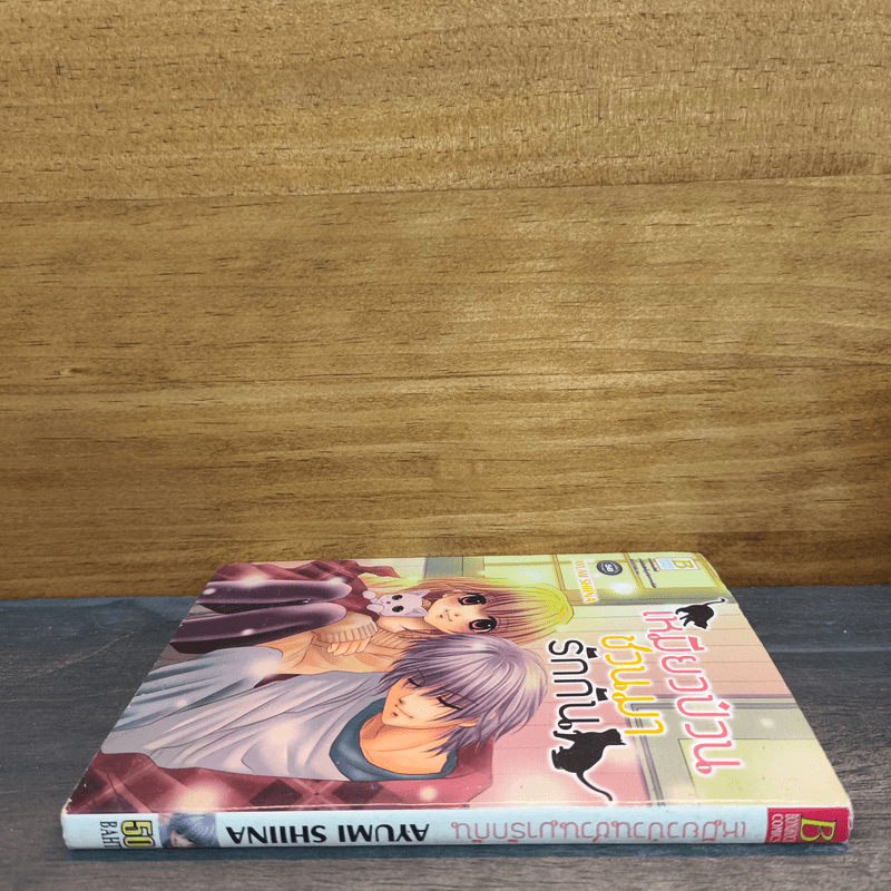 เหมียวป่วนชวนมารักกัน - Ayumi Shiina