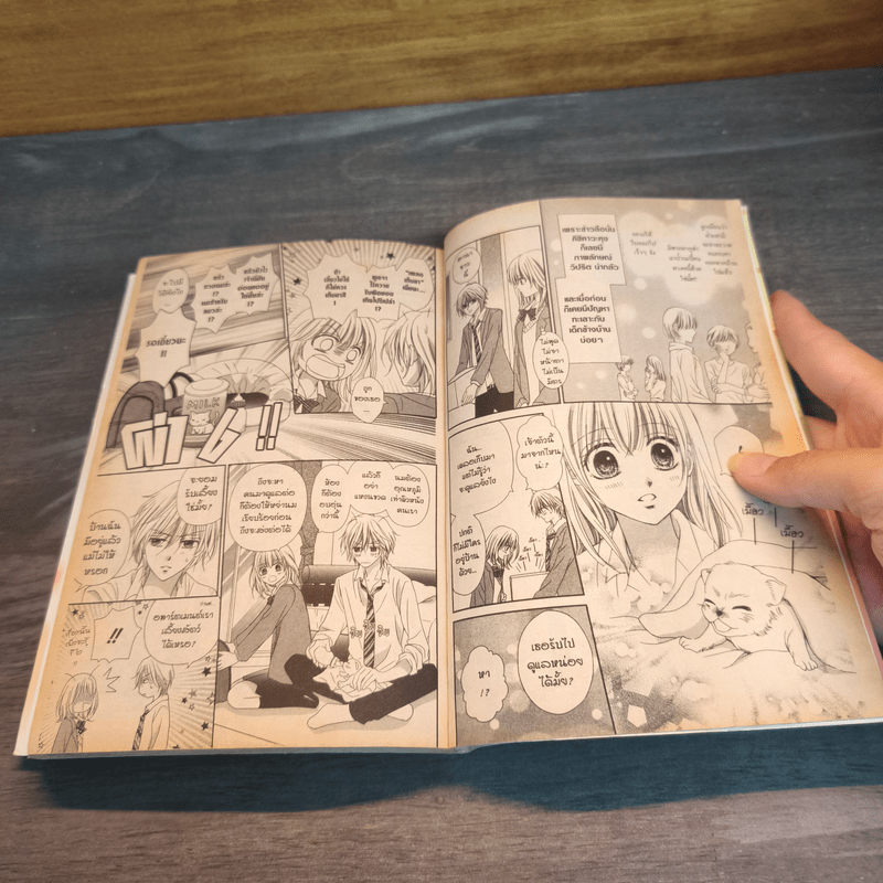 เหมียวป่วนชวนมารักกัน - Ayumi Shiina