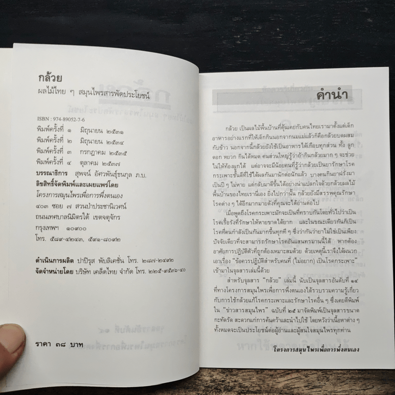 กล้วย ผลไม้ไทยๆสมุนไพรสารพัดประโยชน์