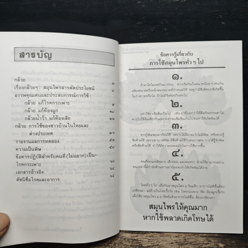 กล้วย ผลไม้ไทยๆสมุนไพรสารพัดประโยชน์