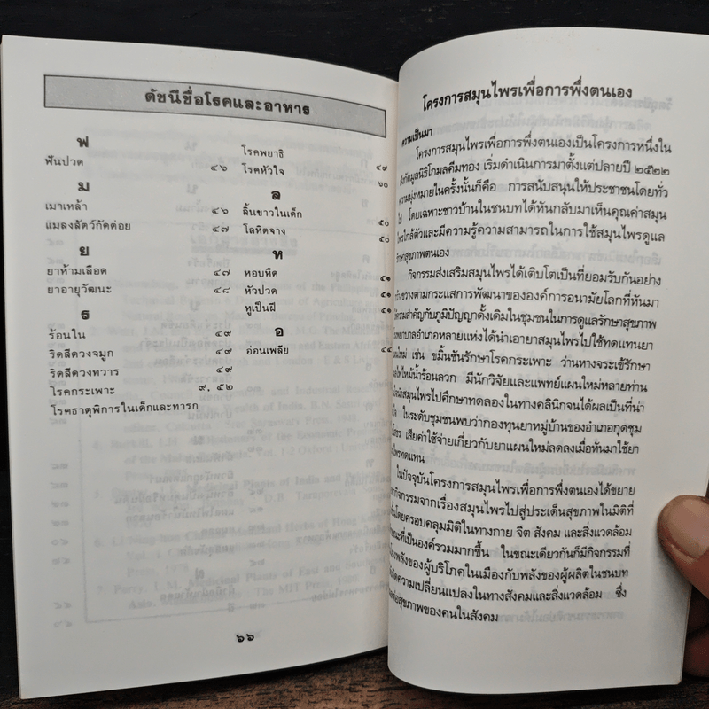 กล้วย ผลไม้ไทยๆสมุนไพรสารพัดประโยชน์