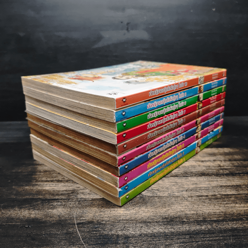 เจ้าหญิงจอมจุ้นกับรักวุ่นๆในวัง เล่ม 1-10