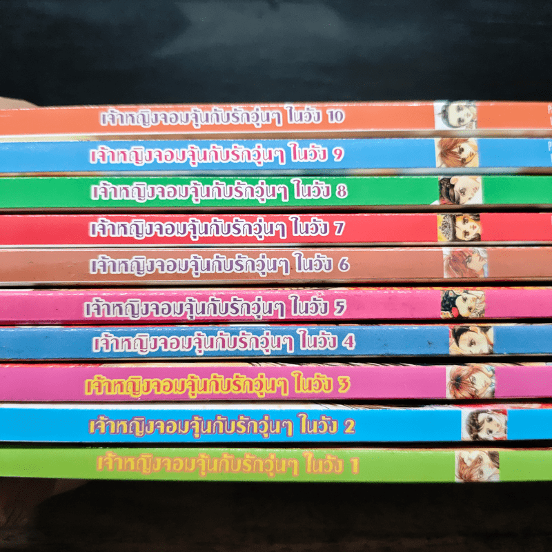 เจ้าหญิงจอมจุ้นกับรักวุ่นๆในวัง เล่ม 1-10