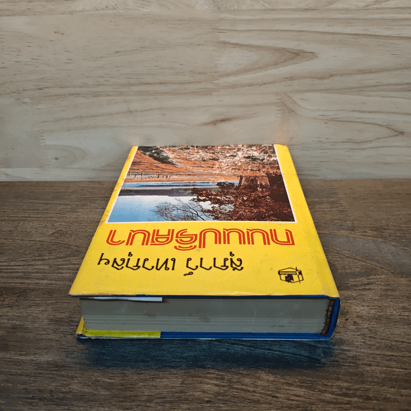 ถนนปริศนา เล่ม 11 - สุภาว์ เทวกุลฯ