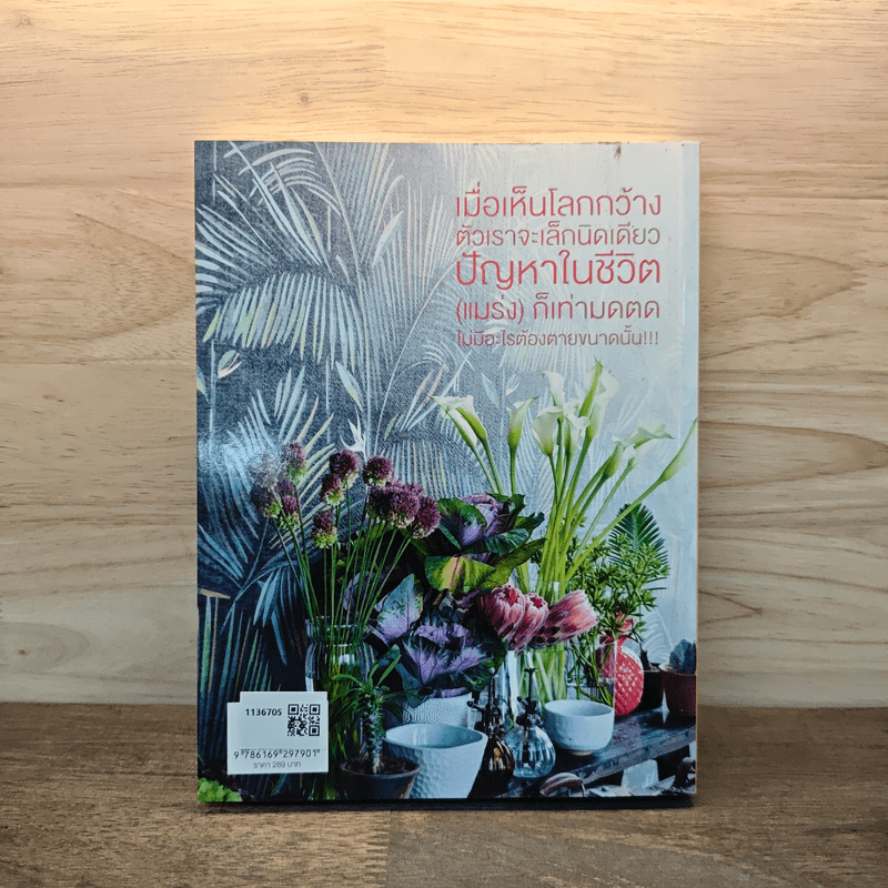 แคร์เช่นมิตร - กาละแมร์