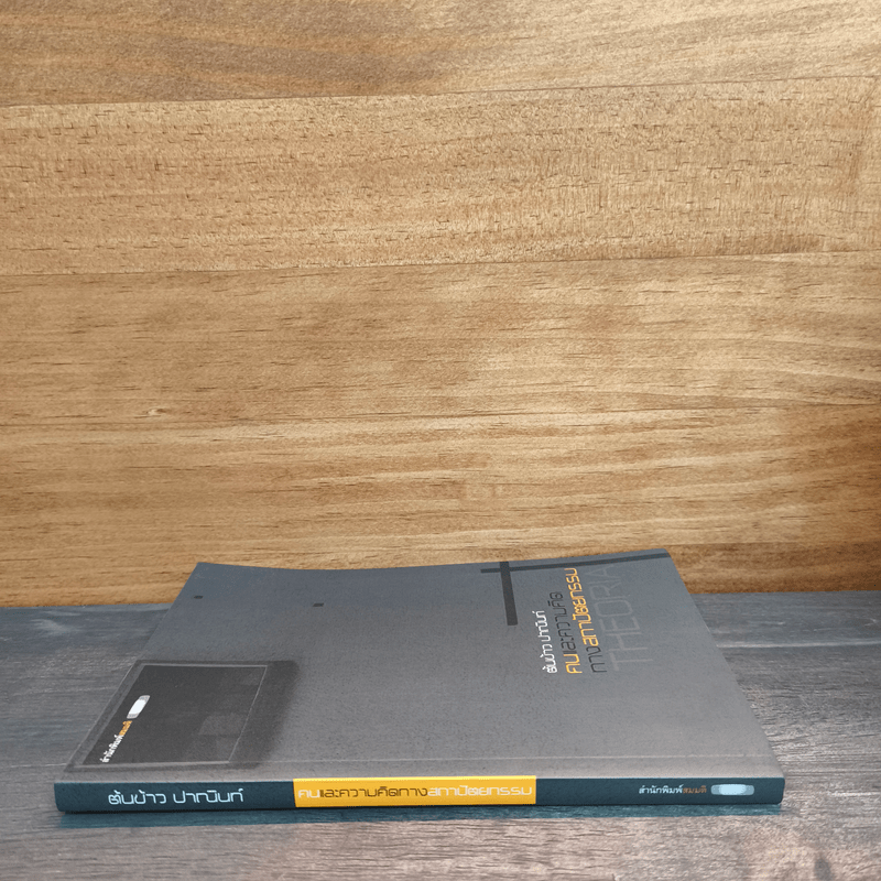 คนและความคิดทางสถาปัตยกรรม - ต้นข้าว ปาณินท์