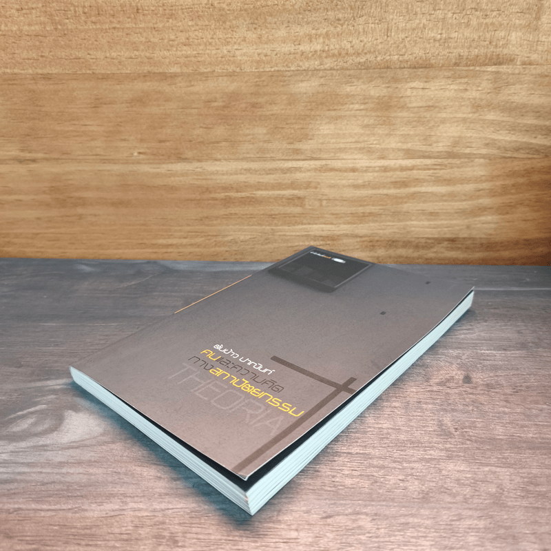 คนและความคิดทางสถาปัตยกรรม - ต้นข้าว ปาณินท์