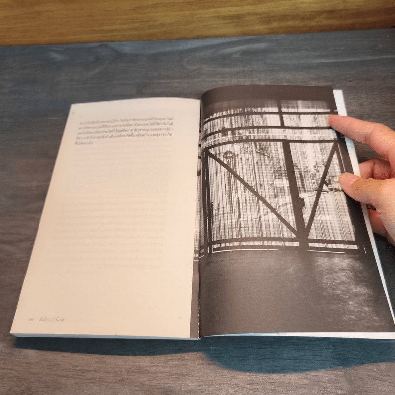 คนและความคิดทางสถาปัตยกรรม - ต้นข้าว ปาณินท์