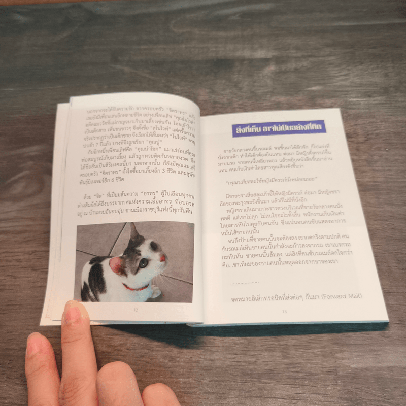 การเดินทางของก้อนเมฆ - กิติมาภรณ์ จิตราทร